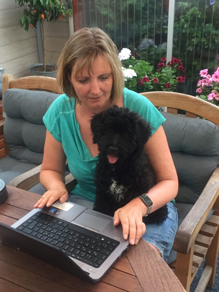 Tierschutzhund Grundkurs - Online